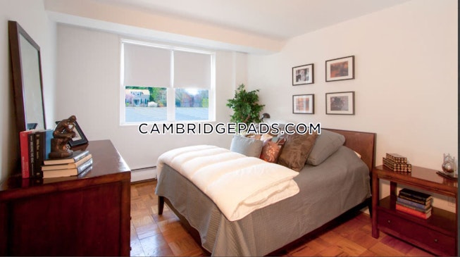 Cambridge - $3,002 /mo