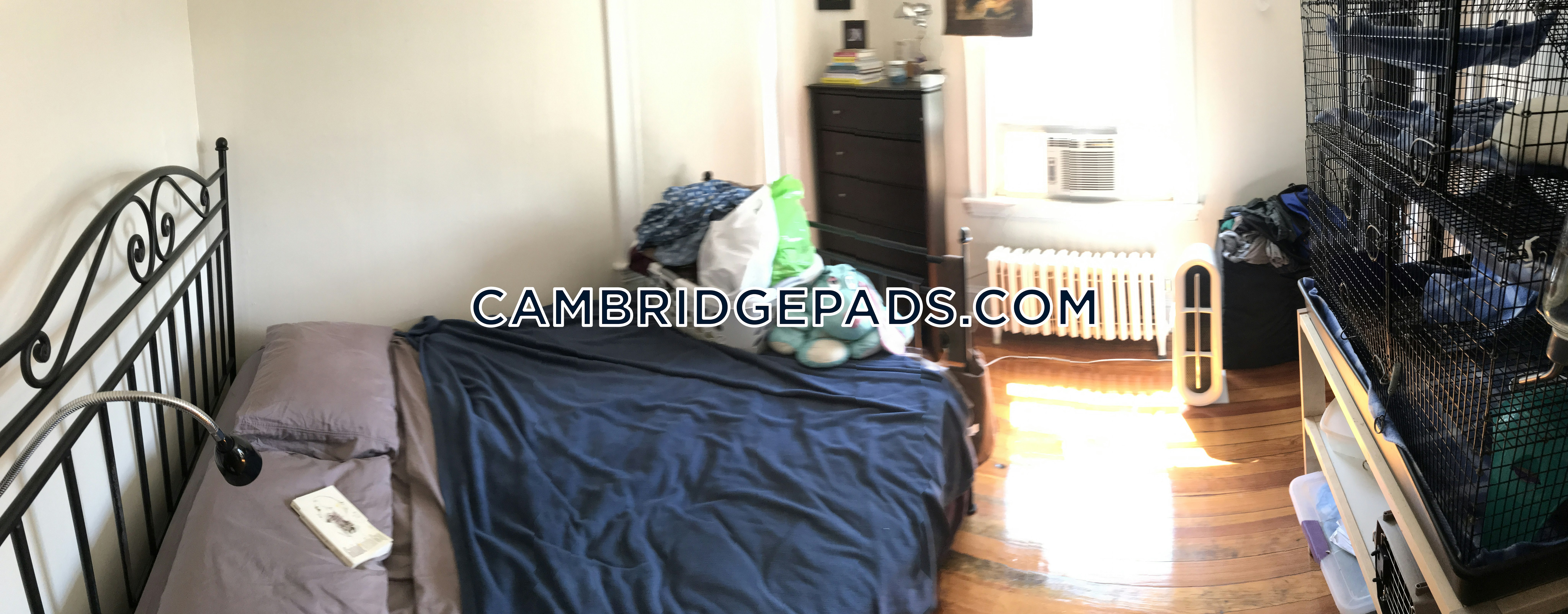 Cambridge - $3,350