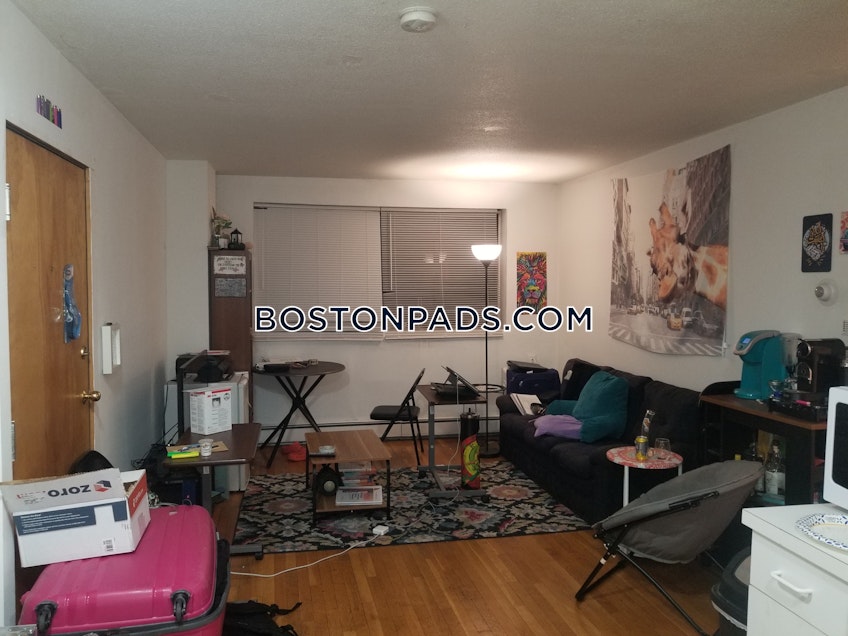 Roxbury Crossing - $3,150 /month