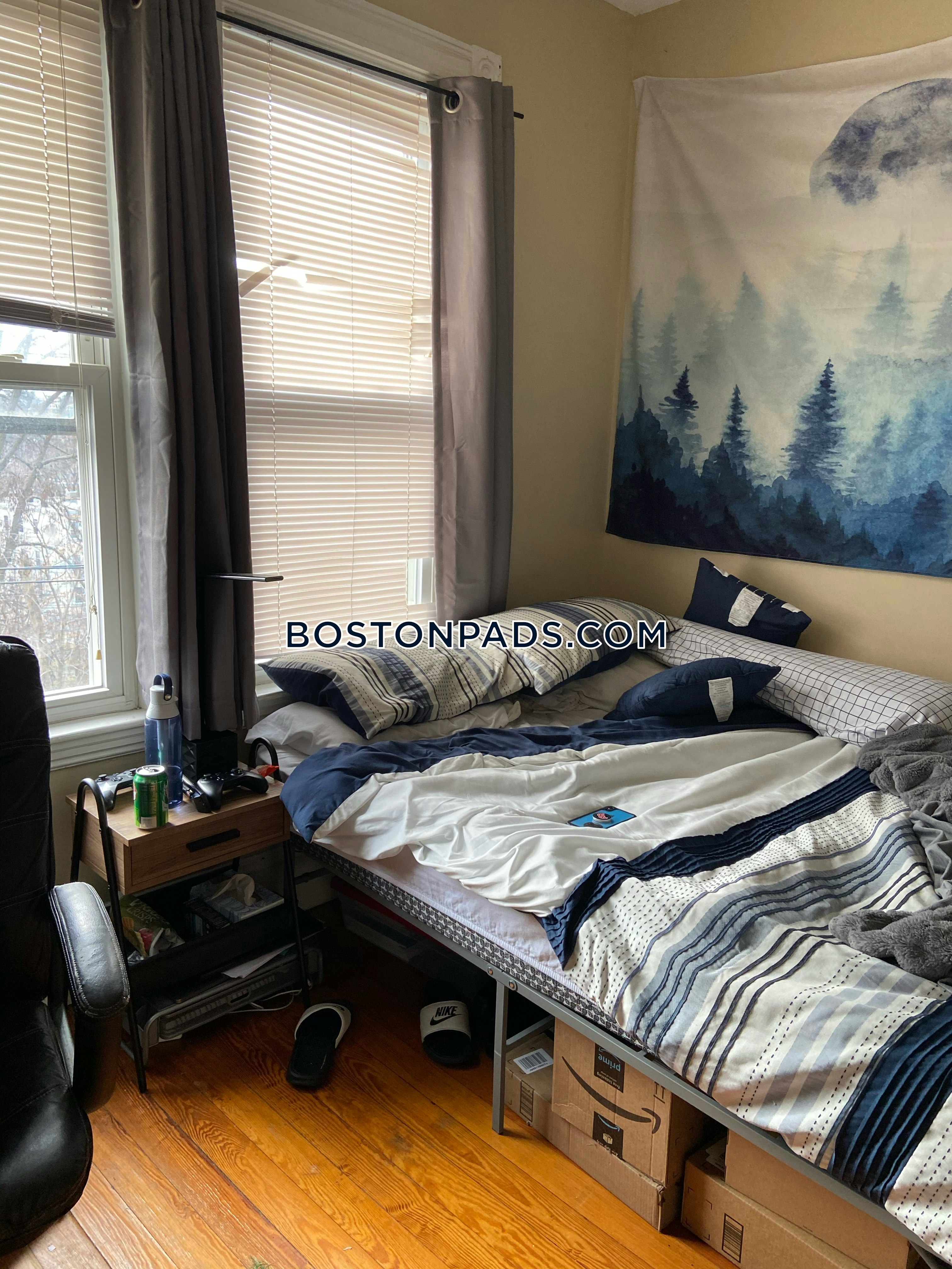 Roxbury Crossing - $3,300