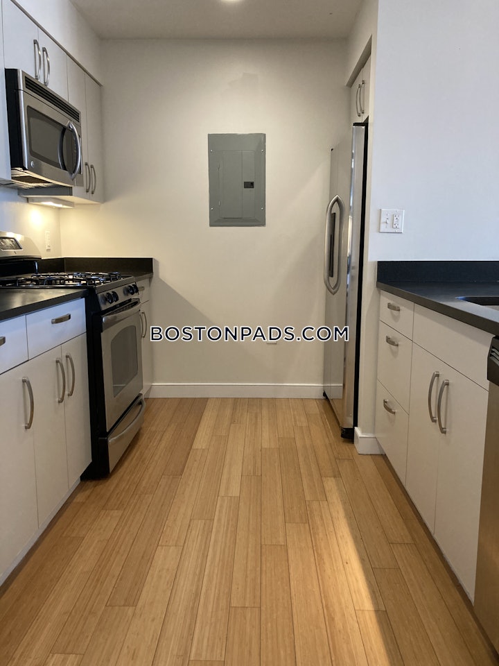 south-end-apartment-for-rent-2-bedrooms-2-baths-boston-4350-4632913 