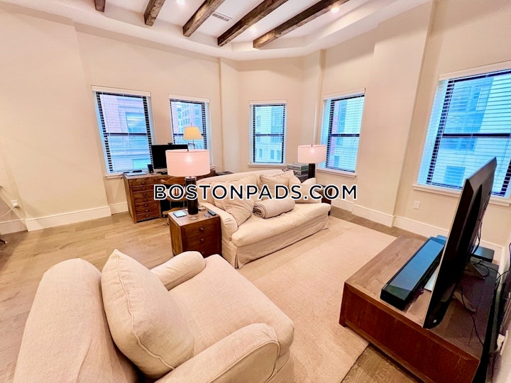 downtown-apartment-for-rent-1-bedroom-1-bath-boston-4500-4465262 