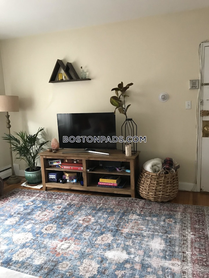 brighton-2-beds-1-bath-boston-2950-4537440 