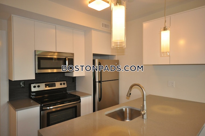 south-end-apartment-for-rent-2-bedrooms-1-bath-boston-3900-4600256 