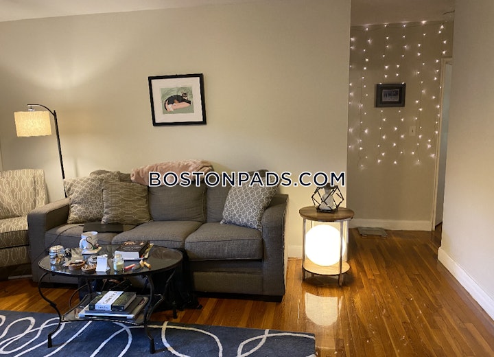 brighton-apartment-for-rent-2-bedrooms-1-bath-boston-2900-4517882 
