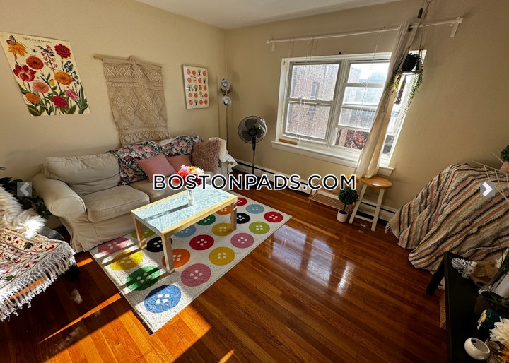 brighton-apartment-for-rent-2-bedrooms-1-bath-boston-3000-4559240 