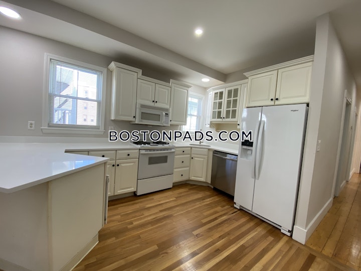 Buttonwood St. Boston picture 5