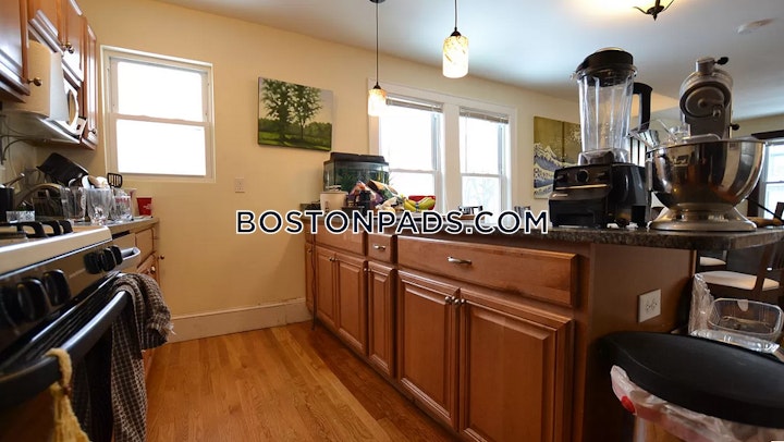Donnybrook Rd. Boston picture 10