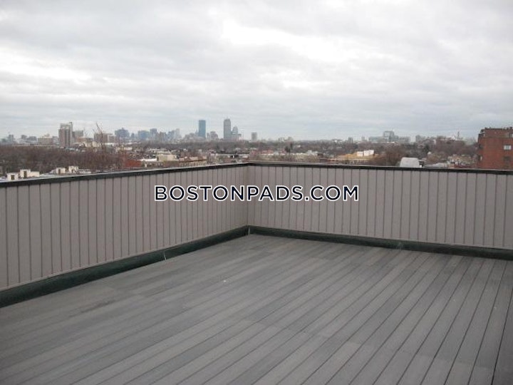 Commonwealth Ave. Boston picture 10