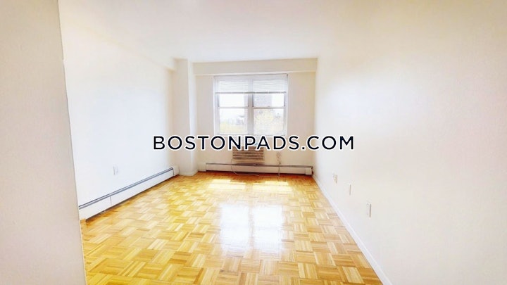 brookline-apartment-for-rent-1-bedroom-1-bath-boston-university-3000-3747702 