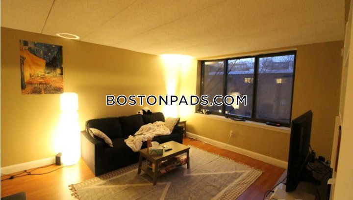 allston-apartment-for-rent-2-bedrooms-2-baths-boston-3840-4531457 