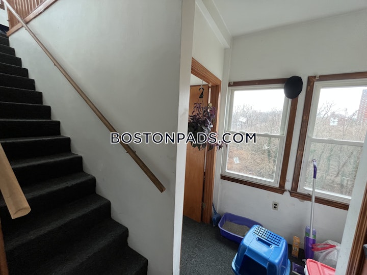 fort-hill-apartment-for-rent-3-bedrooms-1-bath-boston-3400-4566550 