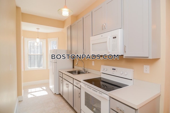 roxbury-apartment-for-rent-2-bedrooms-1-bath-boston-3100-4629139 