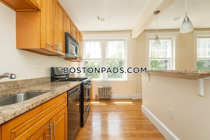 brighton-apartment-for-rent-studio-1-bath-boston-2350-4621737 