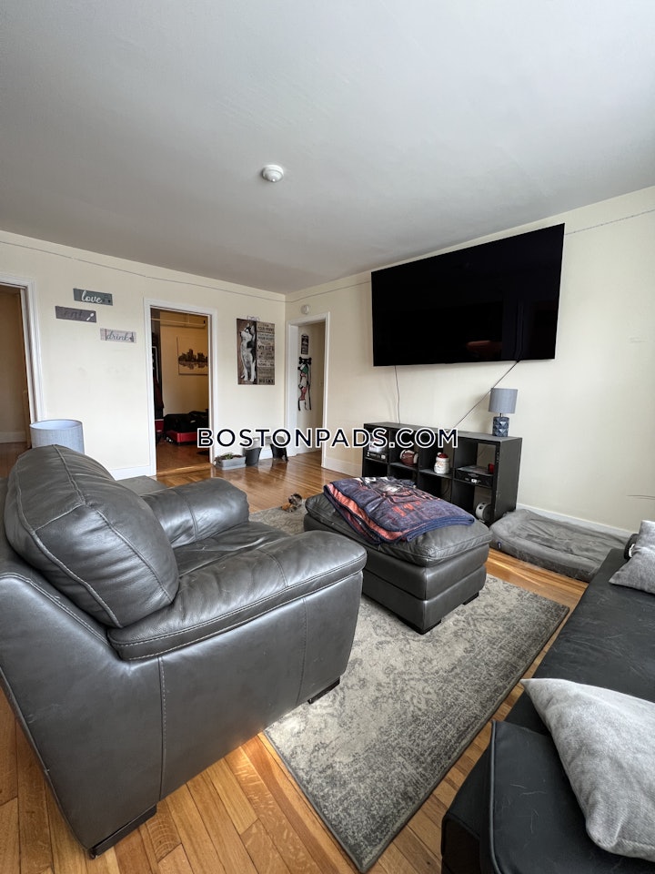 allstonbrighton-border-apartment-for-rent-2-bedrooms-1-bath-boston-2950-4557394 