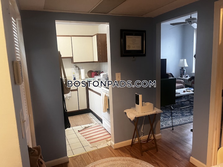 brighton-apartment-for-rent-1-bedroom-1-bath-boston-2250-4569371 