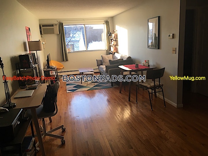 somerville-apartment-for-rent-1-bedroom-1-bath-magounball-square-2850-4572929 