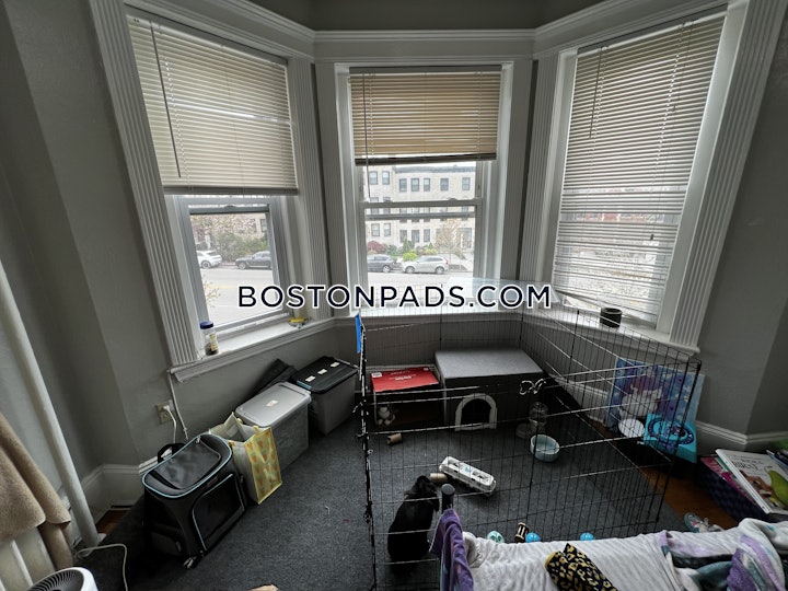 fenwaykenmore-apartment-for-rent-2-bedrooms-1-bath-boston-3300-4597099 