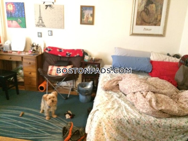 Boston - $1,900 /mo