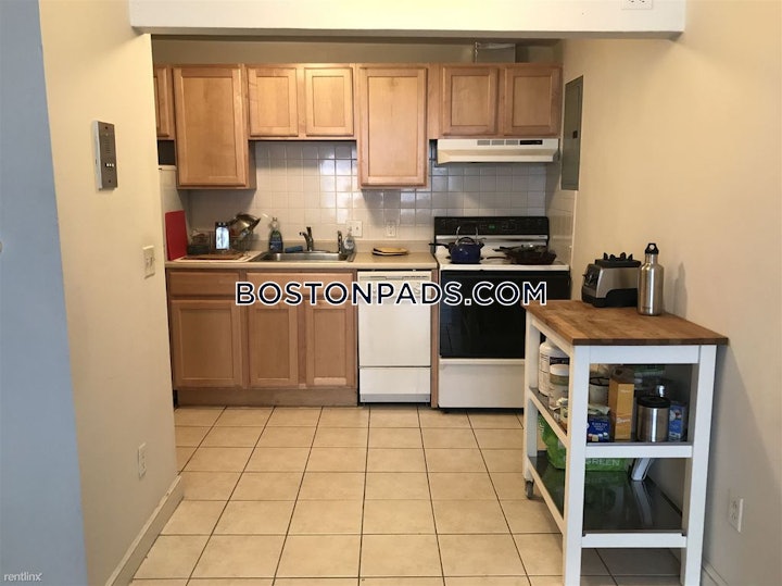 allstonbrighton-border-apartment-for-rent-2-bedrooms-1-bath-boston-2700-4632445 