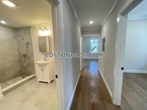 Porter St. Boston photo 60