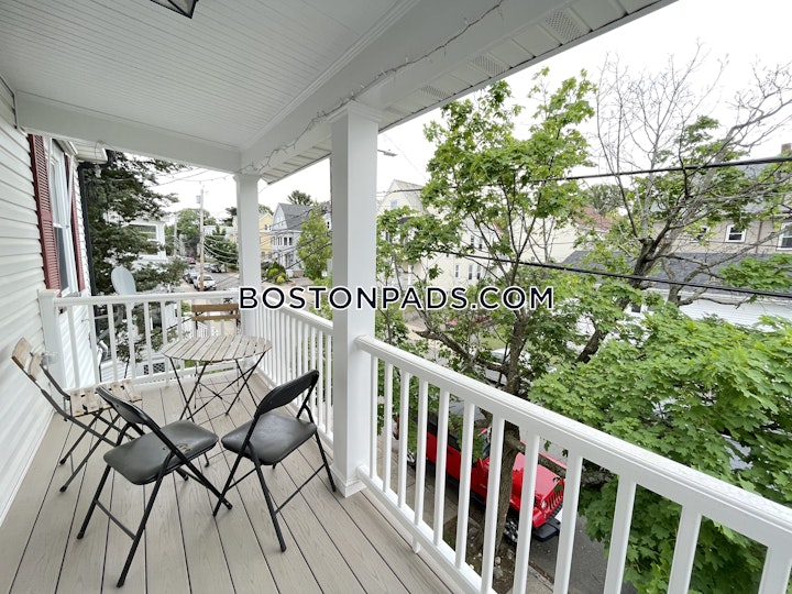 Montcalm Ave. Boston picture 15