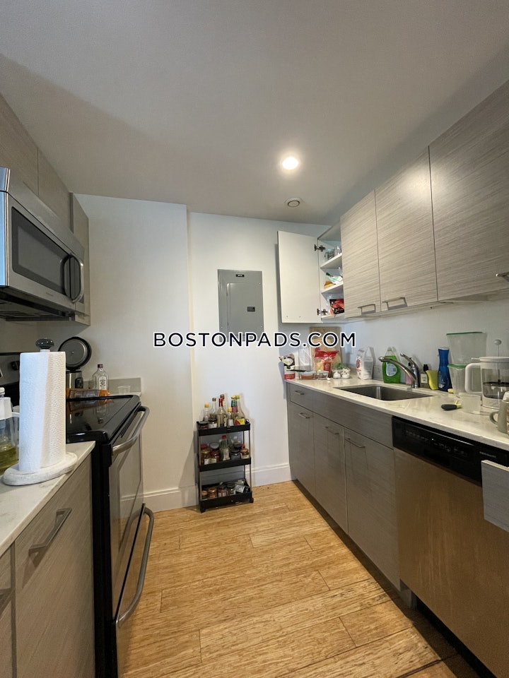 allston-apartment-for-rent-2-bedrooms-2-baths-boston-4850-3753938 