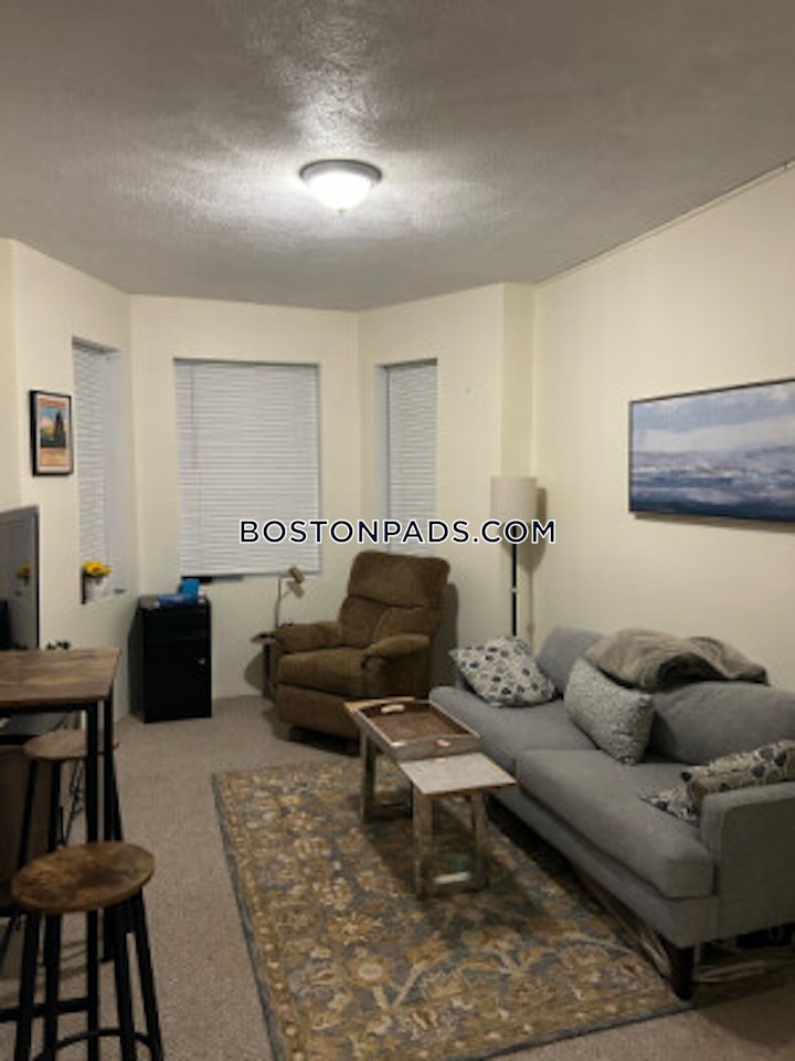 fenwaykenmore-apartment-for-rent-1-bedroom-1-bath-boston-3700-4542691 