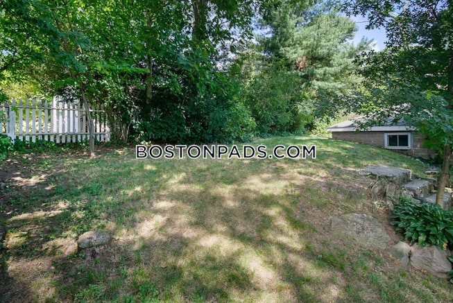 Boston - $2,900 /mo