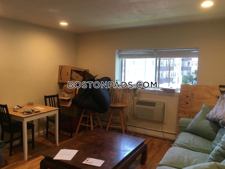 brighton-apartment-for-rent-2-bedrooms-1-bath-boston-2650-4590020 
