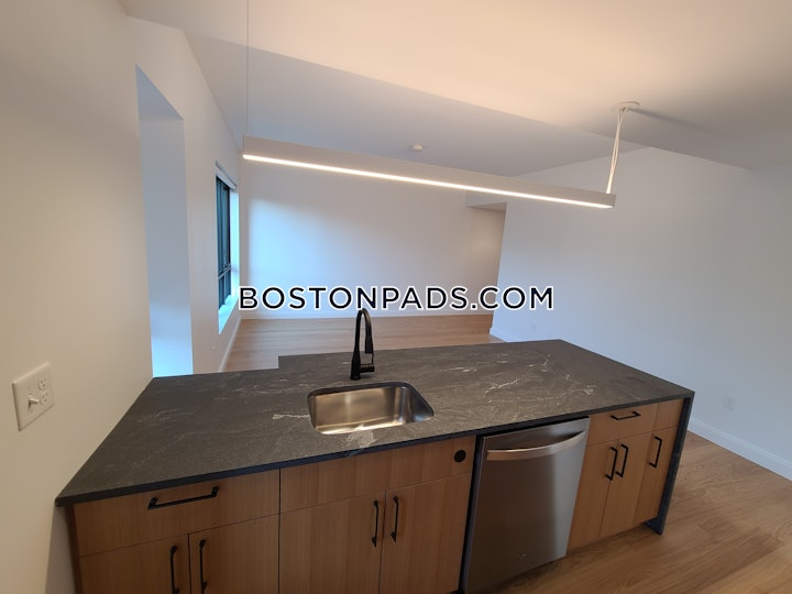 allston-apartment-for-rent-2-bedrooms-2-baths-boston-5300-4643012 