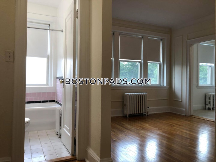brighton-apartment-for-rent-1-bedroom-1-bath-boston-2895-4609668 