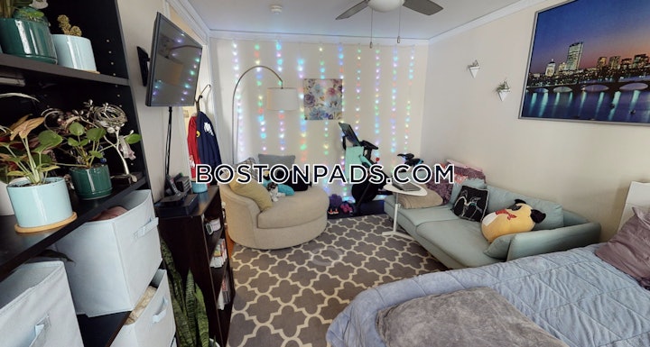 allston-apartment-for-rent-studio-1-bath-boston-2495-4622831 