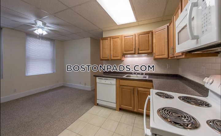 allston-apartment-for-rent-1-bedroom-1-bath-boston-2300-4604827 