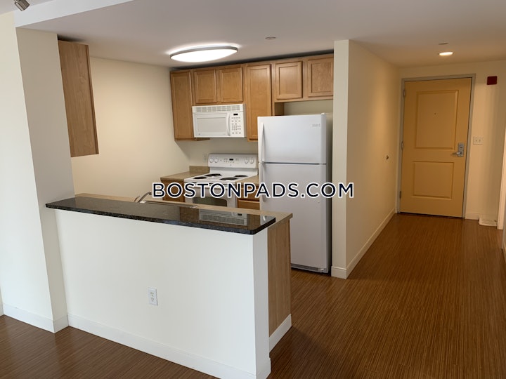 dorchester-apartment-for-rent-2-bedrooms-2-baths-boston-3159-4490779 