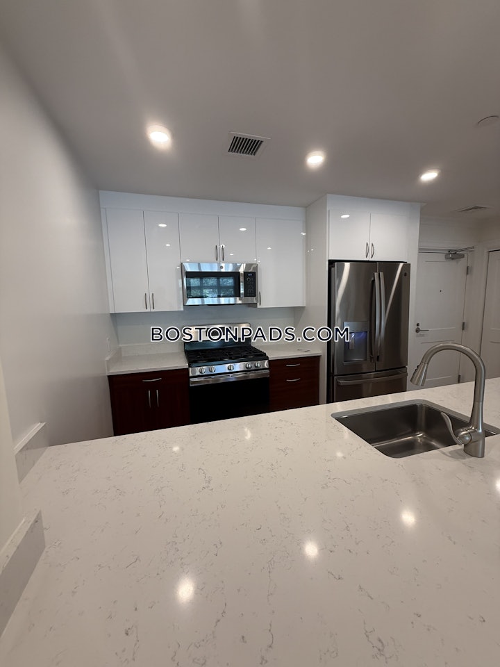 brookline-apartment-for-rent-1-bedroom-1-bath-chestnut-hill-3305-8000895 