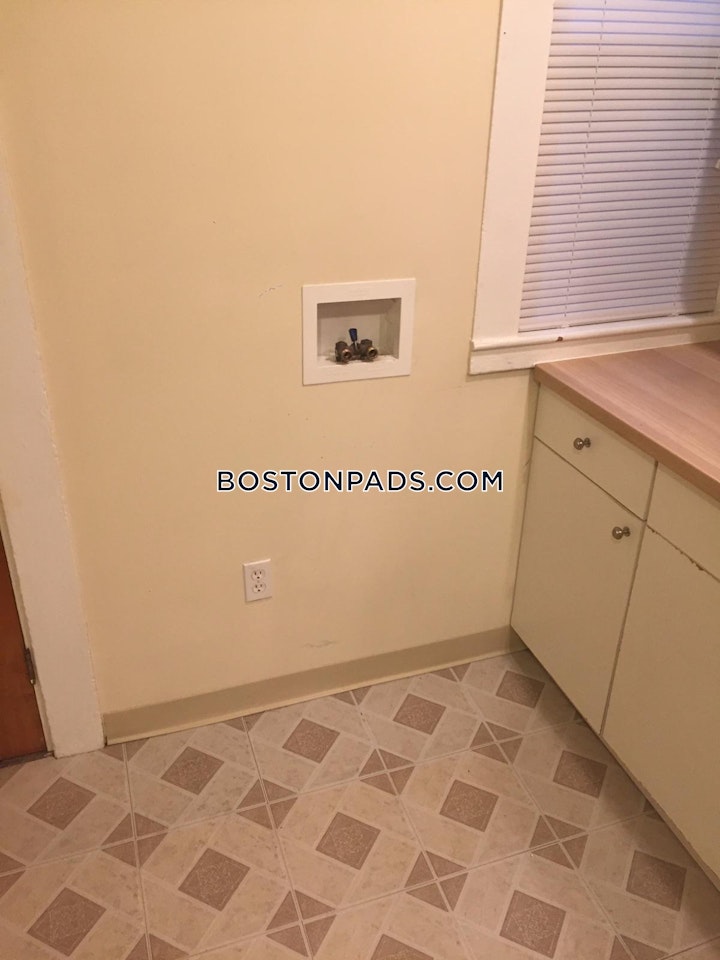Buttonwood St. Boston picture 2