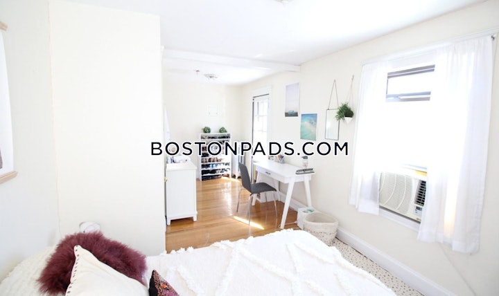 brighton-apartment-for-rent-5-bedrooms-3-baths-boston-9000-4563770 