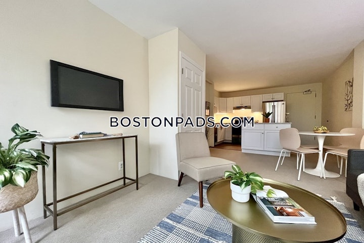 cambridge-1-bed-1-bath-harvard-square-2800-4568738 