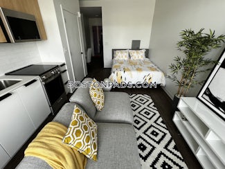 allston-apartment-for-rent-studio-1-bath-boston-3142-4433542
