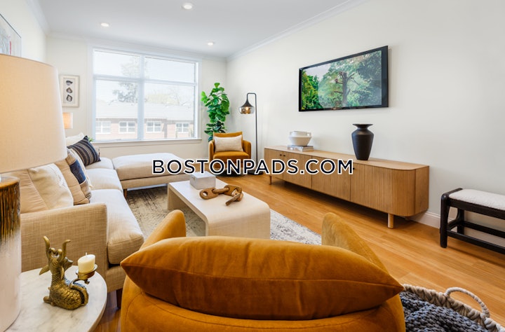 brookline-apartment-for-rent-2-bedrooms-1-bath-chestnut-hill-6515-8003623 