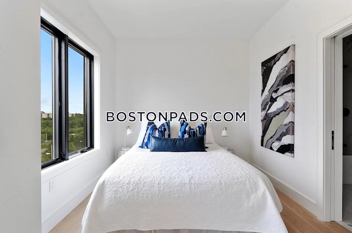 brighton-apartment-for-rent-2-bedrooms-2-baths-boston-5100-4557252 