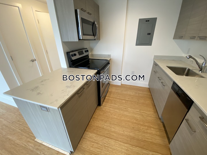 allston-apartment-for-rent-2-bedrooms-2-baths-boston-4950-4591878 