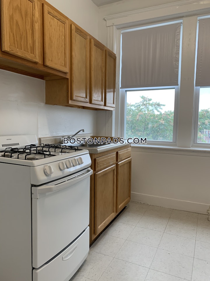 brighton-apartment-for-rent-1-bedroom-1-bath-boston-2695-94902 