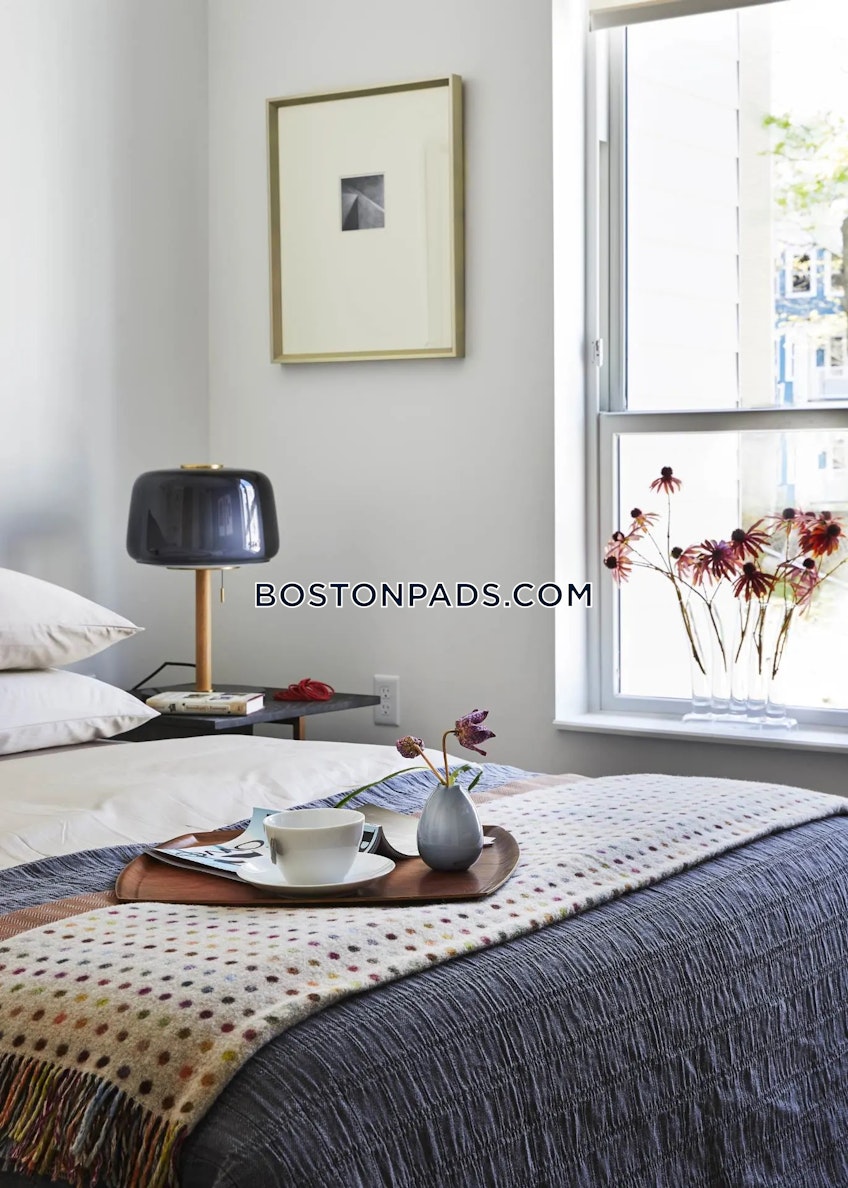 Boston - $4,000+ /month