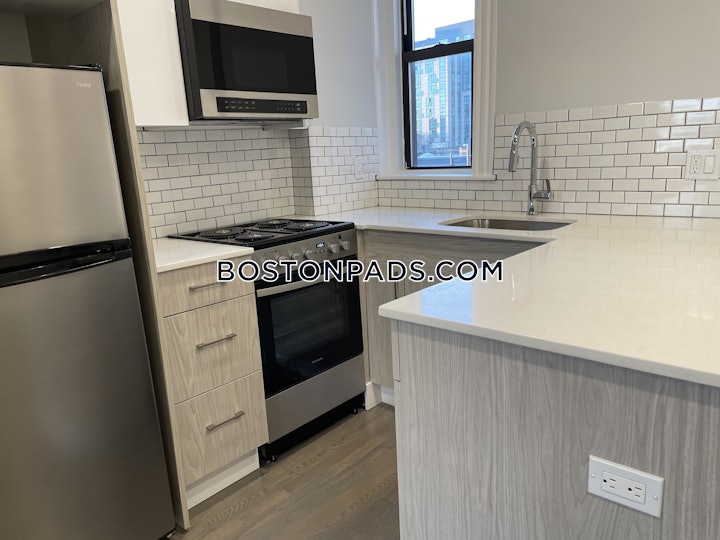 fenwaykenmore-apartment-for-rent-2-bedrooms-1-bath-boston-3925-4841111 