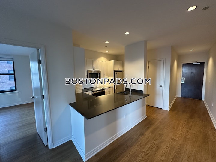 downtown-apartment-for-rent-2-bedrooms-2-baths-boston-4317-4604026 