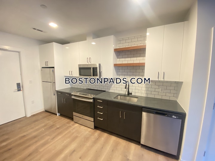 allston-apartment-for-rent-2-bedrooms-2-baths-boston-4525-4541753 