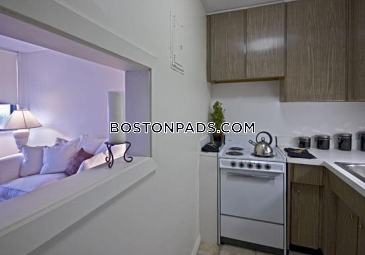 allstonbrighton-border-apartment-for-rent-studio-1-bath-boston-2100-4308930 