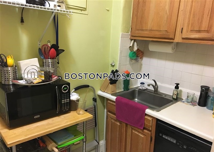 brighton-apartment-for-rent-1-bedroom-1-bath-boston-2050-4620231 